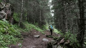 A young male tourist with a backpack on his shoulders and trekking poles climbs to the top of a mountain along a forest path. - Powered by Shutterstock - Get 15% off with code: PIKWIZARD15