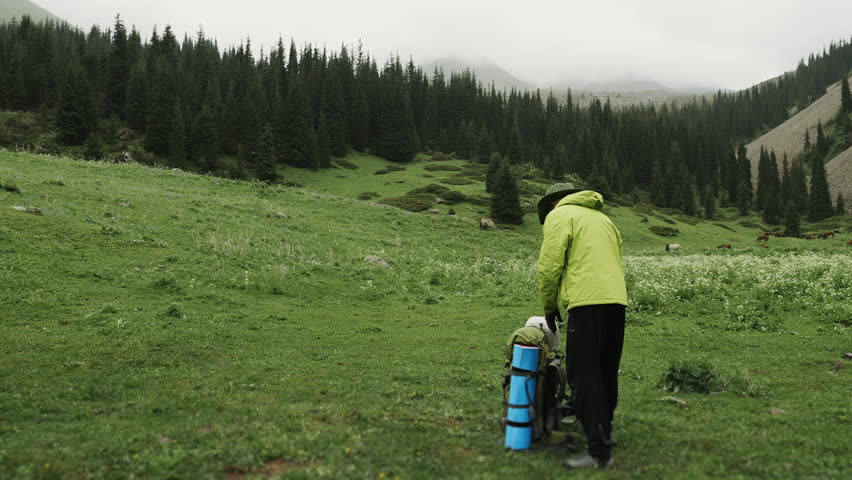 Single hiker putting on backpack and starting hike in green mountain valley with pine forest, outdoor adventure and travel lifestyle in nature.