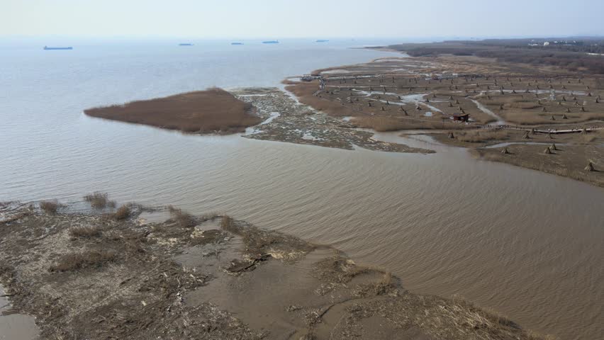 Winter Wetland Scenery Along the Yangtze River on Chongming Island, Shanghai, China