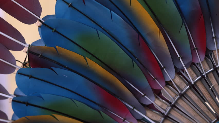 Artificial macaw bird tail feather traditional indigenous headdress alternative Bolivia amazon