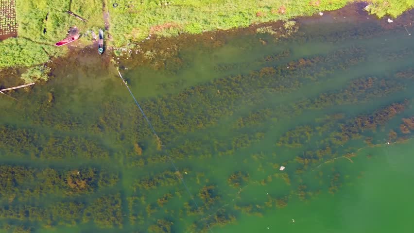 Unique drone shot shows conservation technique of burlap matting on lake floor to control invasive aquatic plants like Eastern Water Milfoil.