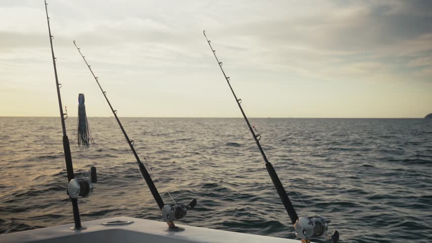 Camera fixed on three fishing rods mounted on a boat as they point toward the open sea.