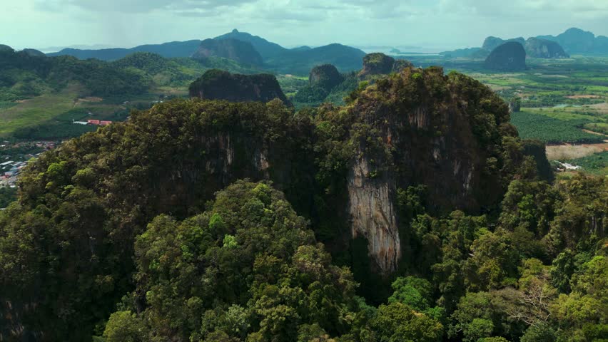 Impressive drone shot showing towering karst cliffs and fertile plains in Krabi, Thailand. A blend of nature and agriculture, ideal for documentaries or eco-destination content.