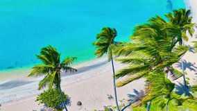 Aerial view of the beach of the Maldives. Green palm trees against the turquoise ocean. Wild relaxation near the turquoise wavy sea. Turquoise water on a beautiful tropical beach. - Powered by Shutterstock - Get 15% off with code: PIKWIZARD15
