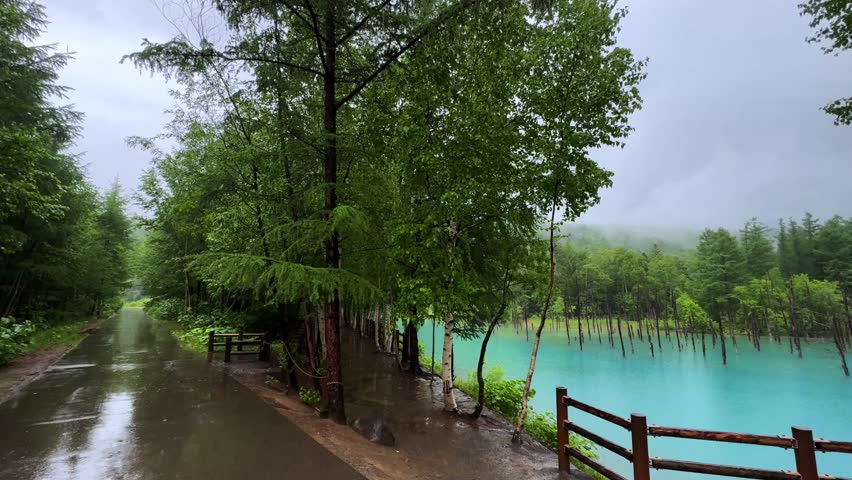 Misty morning view of Biei Blue Pond with turquoise water and forest backdrop