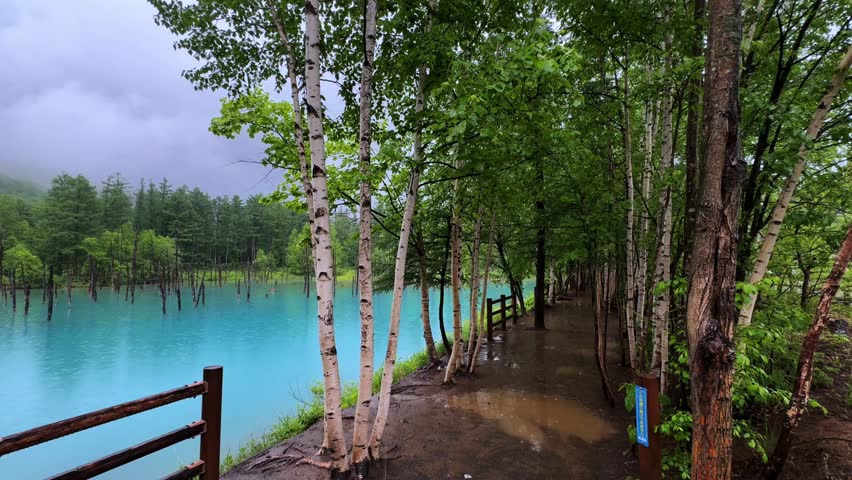 Misty view of Biei Blue Pond with vivid turquoise water and lush green forest