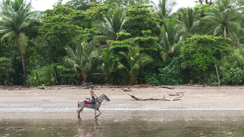 A young girl rides a majestic horse gracefully along a beautiful beach, surrounded by the vibrant greenery of Costa Rica. Experience this stunning slowmotion moment of harmony with nature