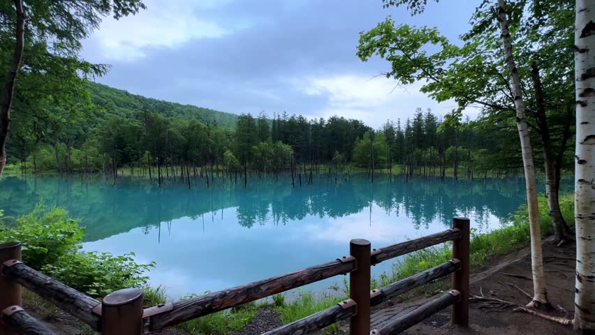 Blue pond surrounded by forest trees with calm water under cloudy sky in Biei, Japan