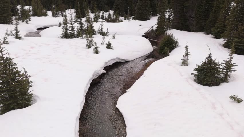 Peaceful Stream Flowing Through Snow-Covered Forest in British Columbia, Canada Landscape