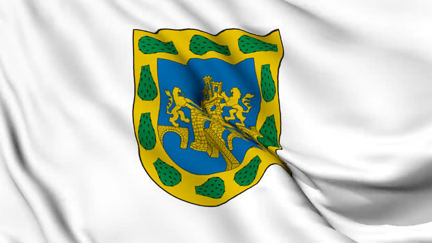 Mexico City flags realistic ripple effect and seamless loop animation. Animated Mexico City flag video.