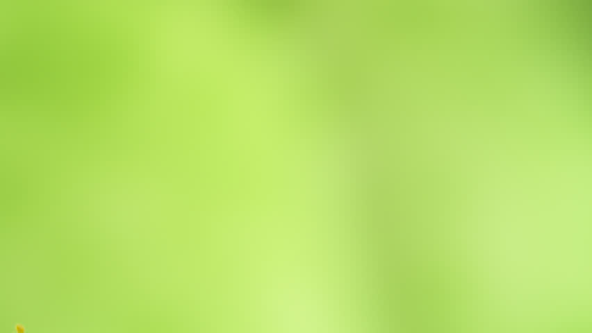 Super Slow Motion Shot of Peeled and Crushed Pistachio Nuts Flying Up at 1000fps.