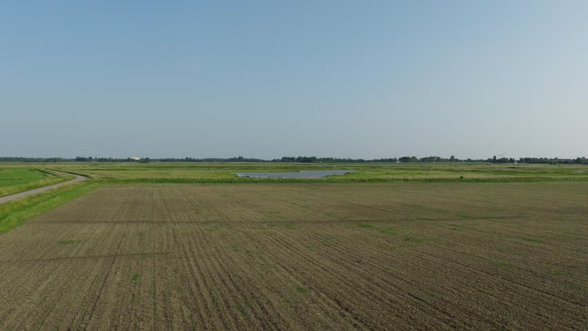 Aerial view over wetland reserve with harrier, peaceful summer day near Middelburg