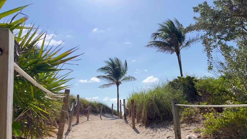 Palm tree blowing in the wind on a beautiful sunny day at South Beach, Miami, Florida, United States of America with beach access pathway.