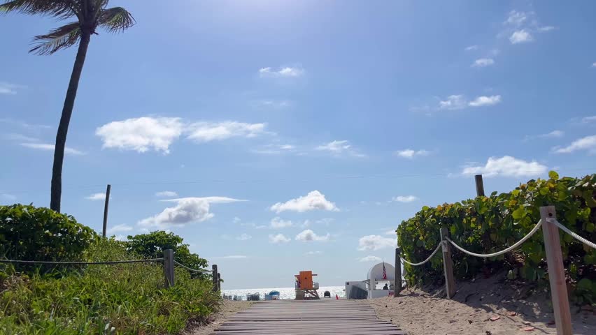 Palm tree blowing in the wind on a beautiful sunny day at South Beach, Miami, Florida, United States of America with beach access path and lifeguard huts in the background.