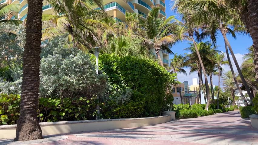 South Beach bike and walk path way with palm tree blowing in the wind, Miami, Florida, United States of America,