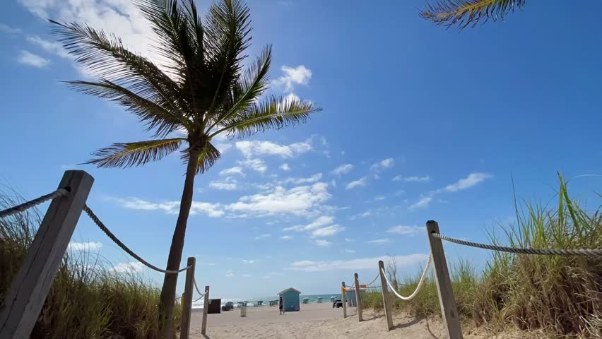 TIMELAPSE - Palm tree blowing in the wind on a beautiful sunny day at South Beach, Miami, Florida, United States of America with beach access path and lifeguard huts in the background.