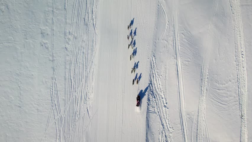 Dog sledding competitor racing across winter landscape, aerial top down