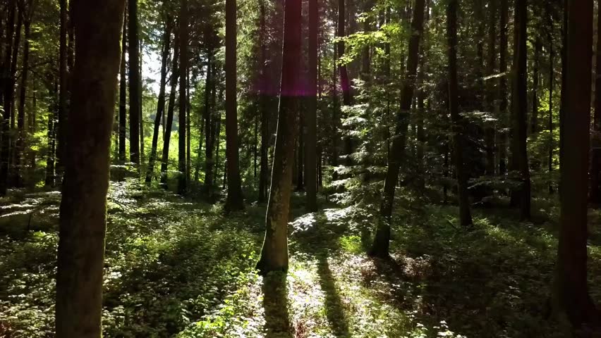 Paradise nature landscape aerial views 