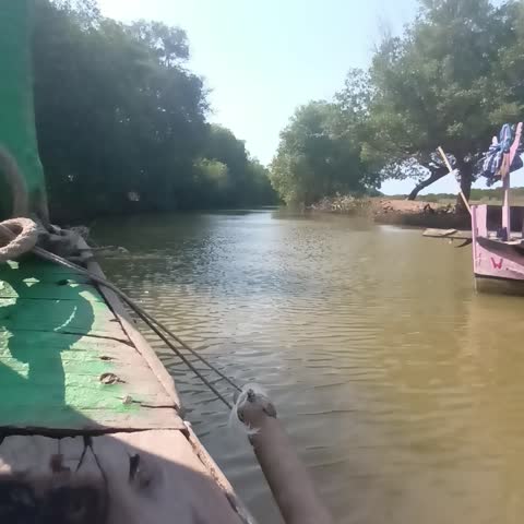 A green boat equipped with a large rope is sailing along the river mouth. Along the estuary are mangrove trees.