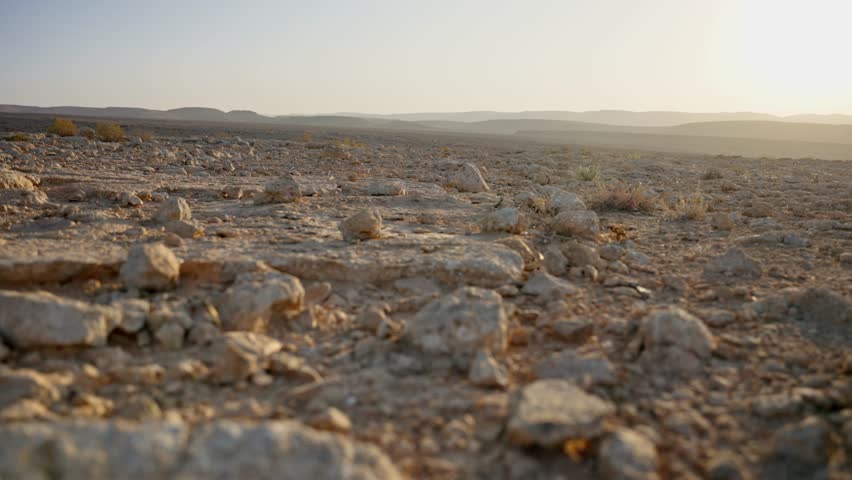 Profile shot of rolling tumbleweed blown by the wind in empty desert terrain. Desolation and emptiness in vast open desert during daytime. Outdoor in hot dry weather. No people or animals around