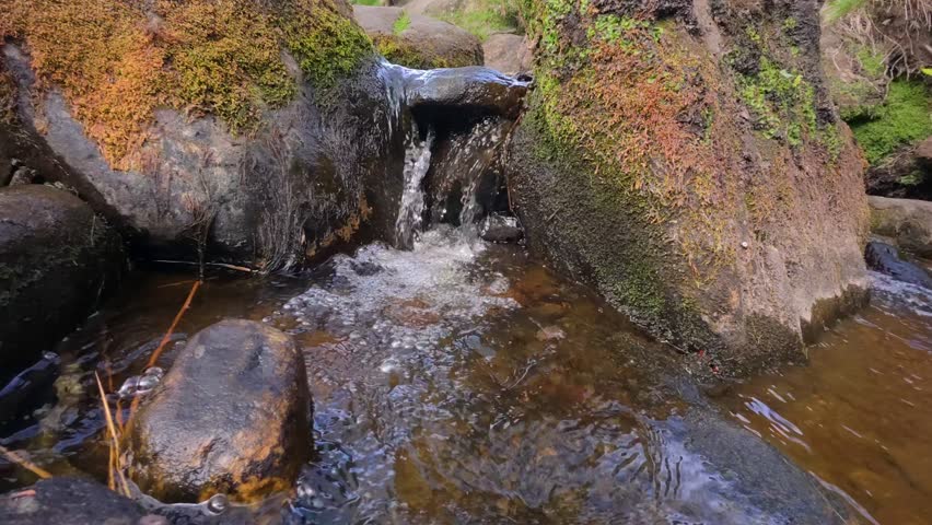 A close-up of mossy stones guide Burbage Brook gentle journey through the heart of Padley Gorge