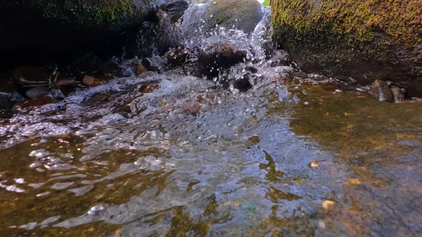 A scenic view of Padley Gorge revealing Burbage Brook winding through moss-covered rocks and ancient woodland in Derbyshire temperate rainforest
