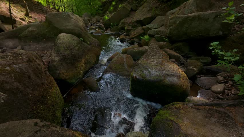 A scenic view of Padley Gorge showing Burbage Brook winding through woodland, its brown waters rich with peat tannins in this rare inland rainforest