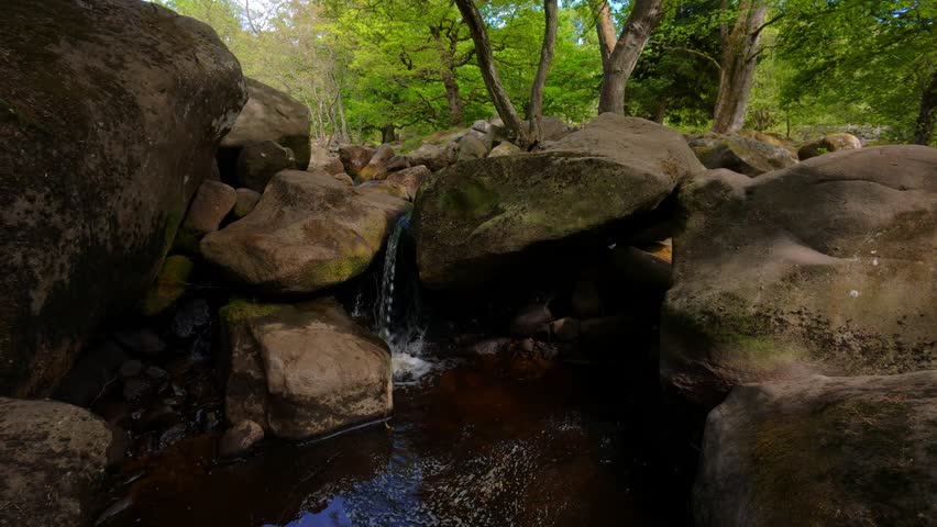 A scenic view of Padley Gorge showing Burbage Brook flowing through mossy woodland, its brown water tinted by peat in this inland rainforest