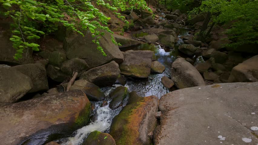 the Padley Gorge in the Peak District featuring Burbage Brook winding through rich green woodland, its waters darkened by peat from the soil