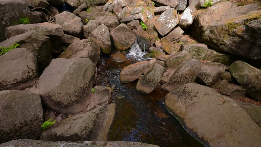 The Padley Gorge in the Peak District revealing a narrow, wooded valley, Burbage Brook tannin-dark stream weaving through ancient greenery