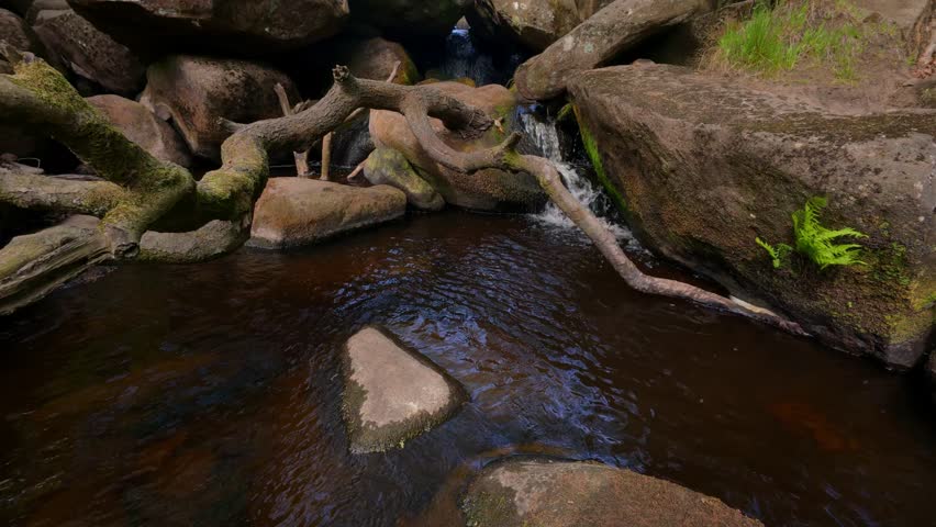 The Padley Gorge featuring Burbage Brook winding through mossy forest, its tea-colored waters rich with tannins and history, nestled in Derbyshire