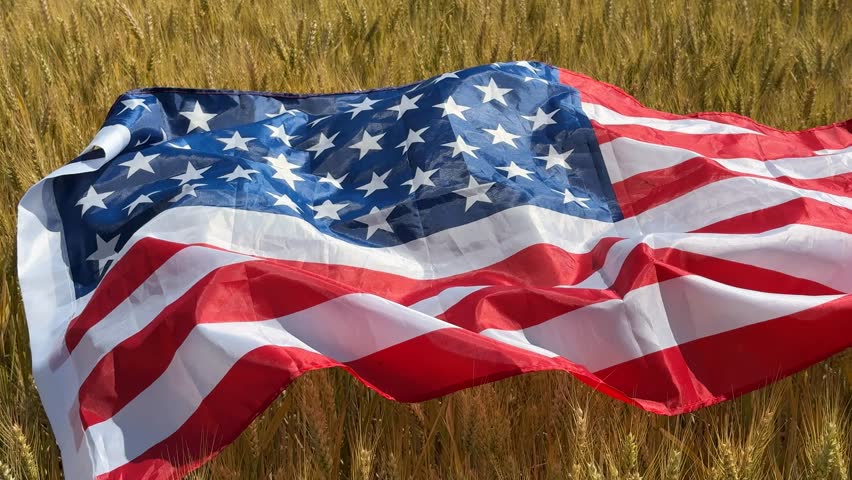 An American flag waves gracefully over a golden wheat field, symbolizing patriotism, harvest season, and rural life evokes Americana and agrarian themes