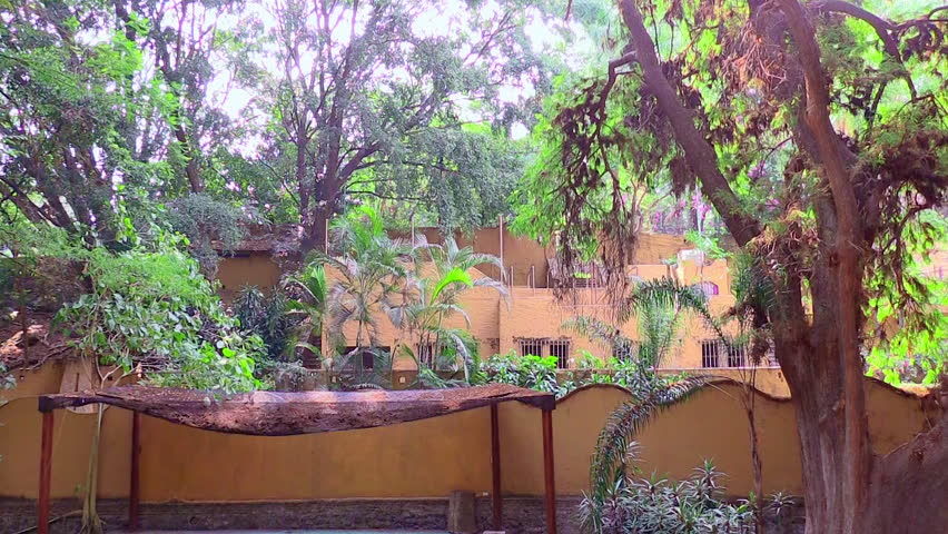 Chapultepec Park for exercise and summer vacations