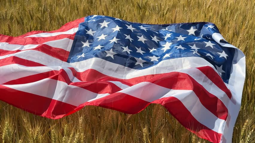 An American flag gently waves over a golden wheat field, symbolizing patriotism, harvest, and Independence Day evokes rural Americana