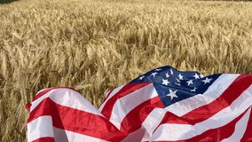 Golden wheat field with an American flag symbolizes patriotism, agriculture, and harvest festivals evokes rural Americana - Powered by Shutterstock - Get 15% off with code: PIKWIZARD15