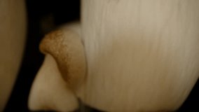 Camera Glides Between Tall King Oyster Mushrooms Using Dolly Slider with Reflected Surface and Close-Up View from Low Perspective, Surreal Nature Concept. - Powered by Shutterstock - Get 15% off with code: PIKWIZARD15