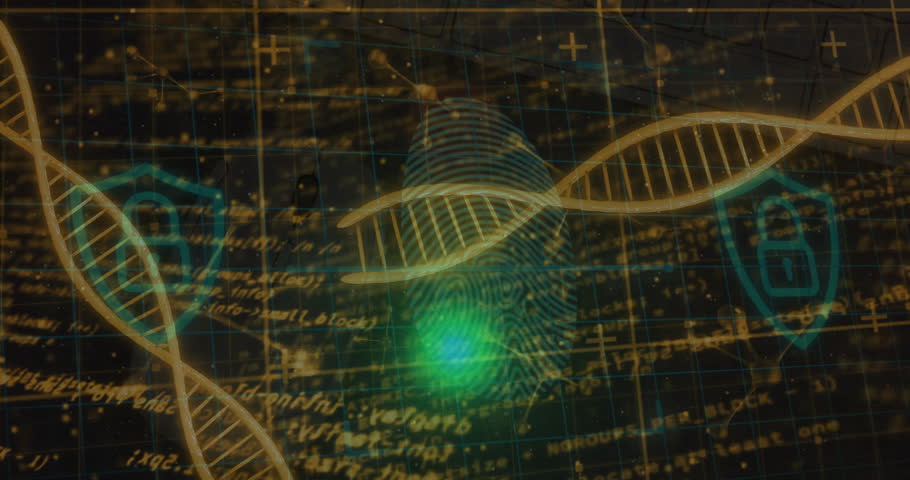 Grid starting scanning dot climbing fingerprint and linking DNA helix for secure login. Biometrics, security, encryption, technology, futurism, data protection, digital