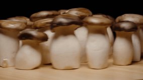 King Oyster Mushrooms Rotating Rapidly on Wooden Surface in Seamless Loop Creating Motion Blur Effect with Dynamic Framing, Surreal Food Concept. - Powered by Shutterstock - Get 15% off with code: PIKWIZARD15