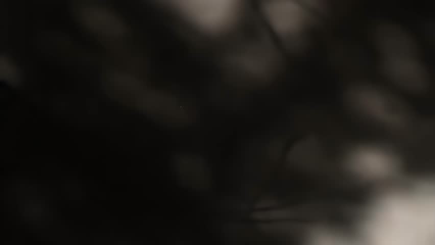 Dark Abstract Shadow Background with Subtle Light and Blurred Texture