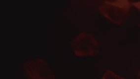 overhead shot of romantic heart shaped lit red candles on background covered in rose petals stock video - Powered by Shutterstock - Get 15% off with code: PIKWIZARD15