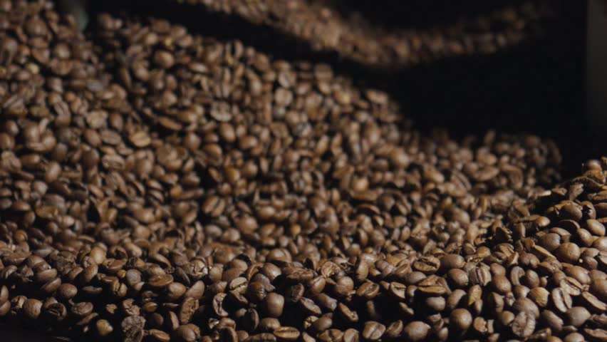Freshly roasted coffee beans gradually cooling on perforated metal surface, showcasing intricate texture and releasing rich aromatic essence during industrial processing stage
