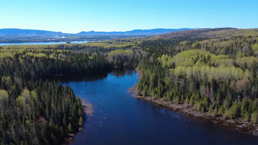Aerial view of a picturesque forest surrounding two peaceful lakes under a clear sky. A peaceful atmosphere ideal for lovers of nature, landscapes, and the outdoors. Matapedia Valley, Quebec, Canada, 