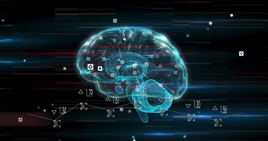 Shutterstock Video