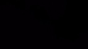 Real Light Leak in 4K – Organic Lens Flare and bokeh for Editing and Overlays - Powered by Shutterstock - Get 15% off with code: PIKWIZARD15