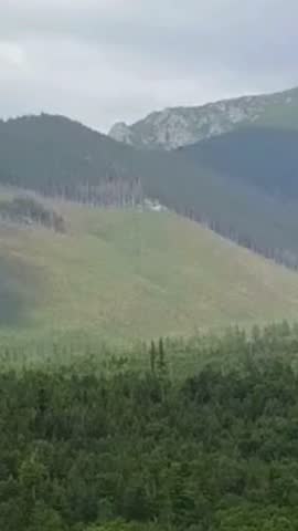 Rolling Green Hills and Forested Mountain Landscape under Overcast Sky