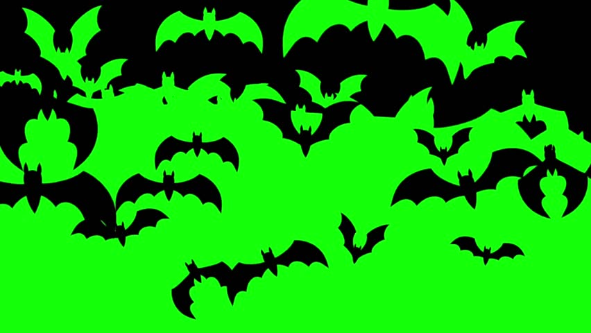 A spooky 2D animation 4K stock footage bats flying green screen Halloween transition key color chroma key elements