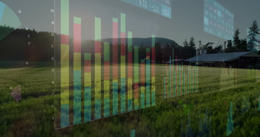 Sun flare intensifying: bar charts fading then shifting over farm field highlighting data trends. Analytics, visualization, data, agriculture, landscape, digital, insights