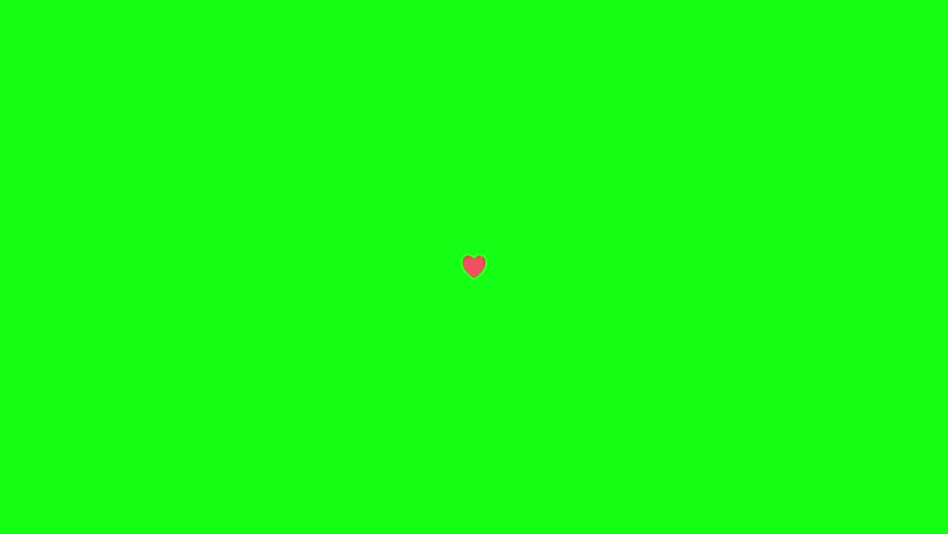Shutterstock Video