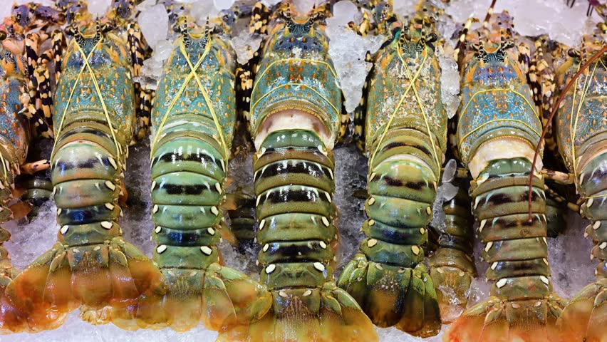 Rainbow lobsters sold at Banzaan Fresh Market in Patong, Phuket, Thailand