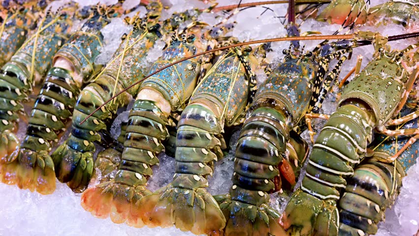 Rainbow lobsters sold at Banzaan Fresh Market in Patong, Phuket, Thailand